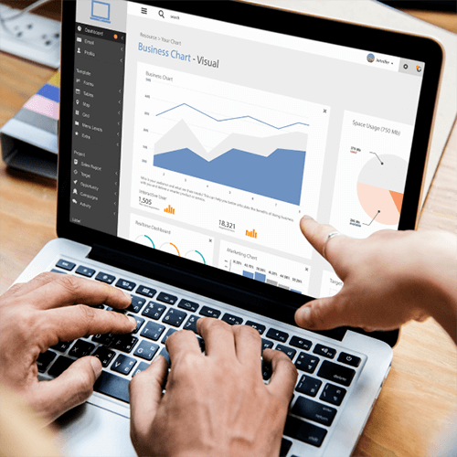 Custom Software Solutions